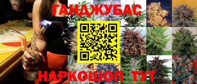 индика Обнинск
