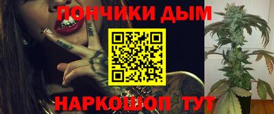 индика Обнинск