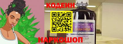индика Обнинск