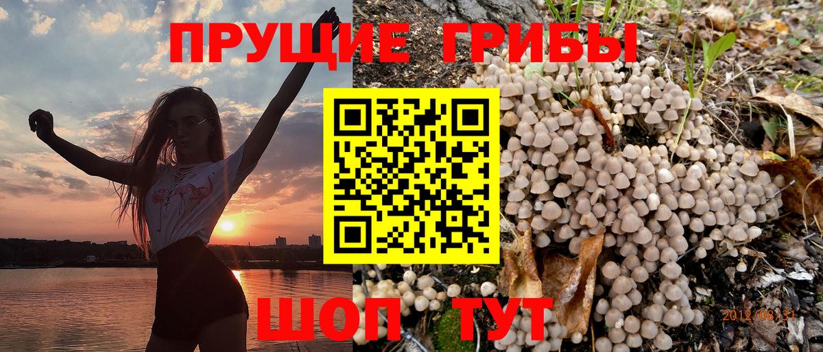 Галлюциногенные грибы прущие грибы Сокол